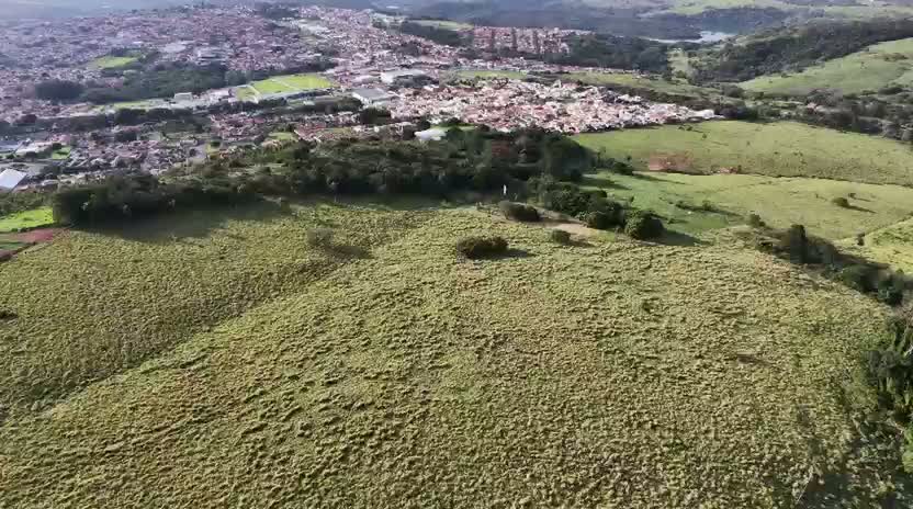 Limites da área e vegetação